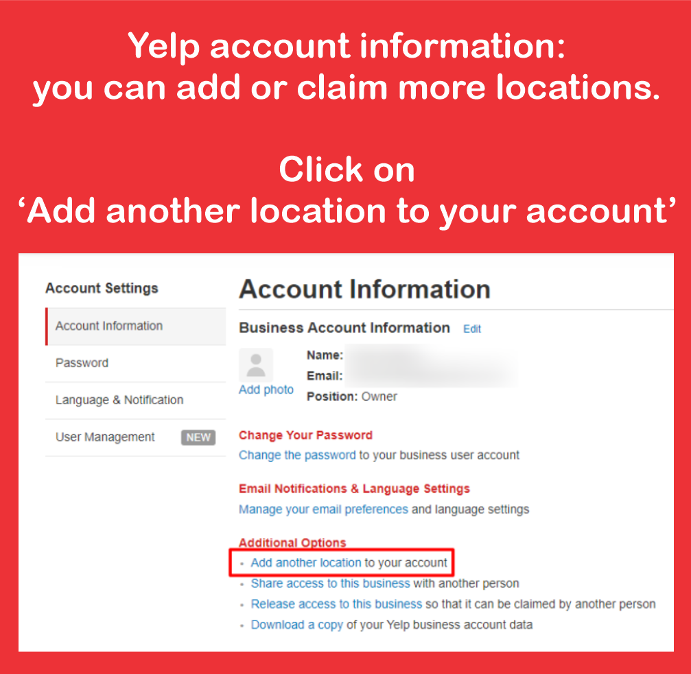 yelp account information